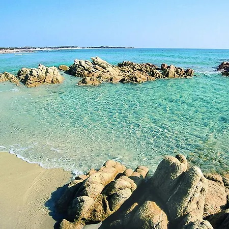 Apartmán Cala Viola-1 By Interhome *